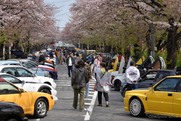 桜吹雪と名車の饗宴…オールドカーミーティングin清久さくらまつり