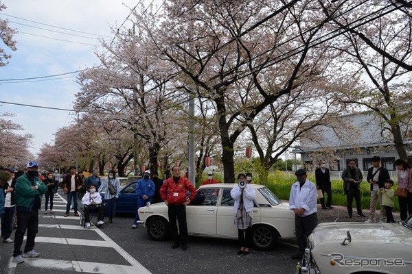 桜吹雪と名車の饗宴…オールドカーミーティングin清久さくらまつり