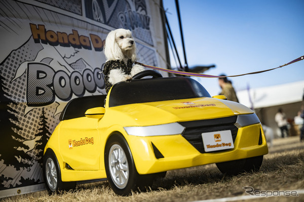 Honda Dog/ホンダアクセス（Sippo Festa 2023 秋）