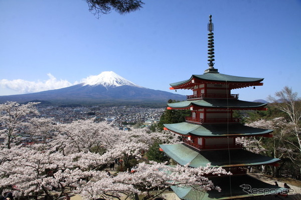 新倉山浅間公園