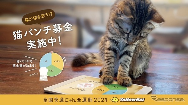 イエローハット：猫パンチ募金