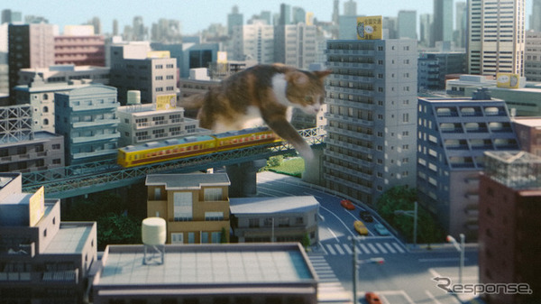 イエローハットTVCM：『猫って予想外』