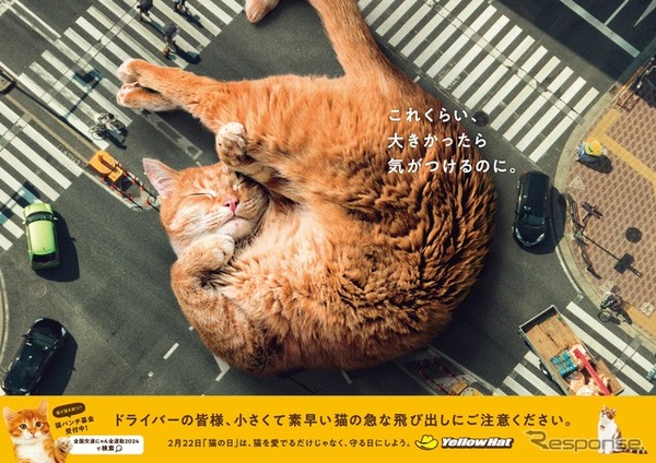 イエローハット「巨大猫ポスター」