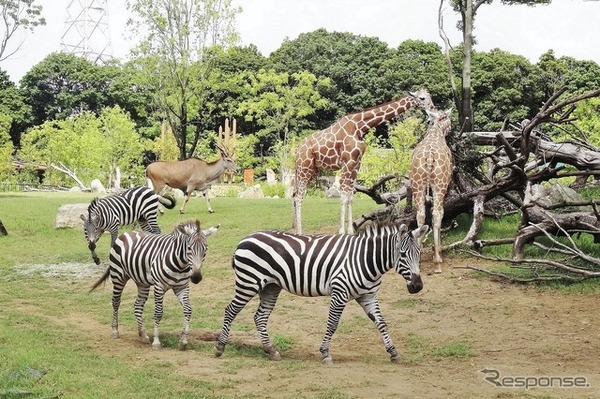 よこはま動物園（ズーラシア）