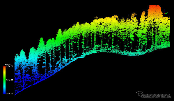 「RINTO」の森林3Dデータ