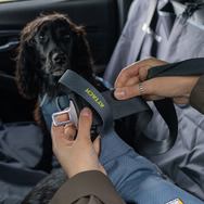 「いすゞD-Max×Ruffwearコレクション」