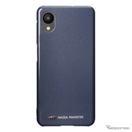 ポリメタルグレーメタリック（47C）