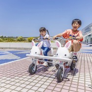 宮崎県のフェニックス・シーガイア・リゾート