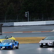 最新のロータスたち