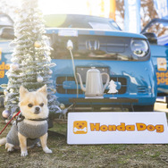 Honda Dog…Sippo Festa2025
