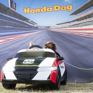 Honda Dog…Sippo Festa2025