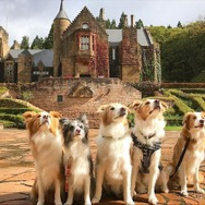 ロックハート城でドレス体験（イメージ）