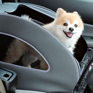 純正愛犬用アクセサリー「Honda Dog」シリーズペットシートプラスわん2