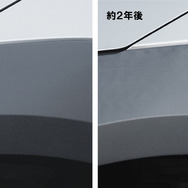 復活王 黒樹脂用