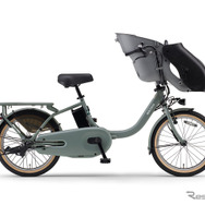 ヤマハ PAS kiss（マットユーカリ）