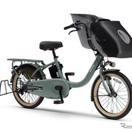 ヤマハ PAS kiss（マットユーカリ）