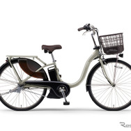 ヤマハ PAS With（シャンパンシルバー）