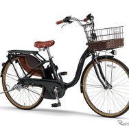 ヤマハ PAS With DX（マットブラック2）