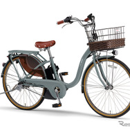 ヤマハ PAS With DX（マットユーカリ）