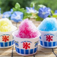 千寿 かき氷