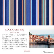 レ・トワール・デュ・ソレイユとコラボした『カングー』専用ベッドキット