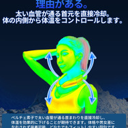 LINKS「氷脈ファン」