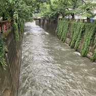 目黒川（6月3日、東京都目黒区）