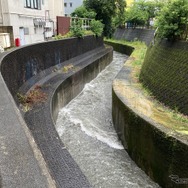 渋谷川（6月3日、東京都渋谷区）