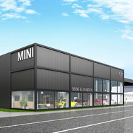 MINI柏