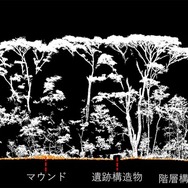 点群データ断面からわかるマウンドと森林構造
