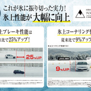 ダンロップ『ICE Pro』