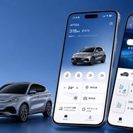 「BYDネットストア」