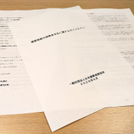 損保協会「保険金支払ガイドライン」改定の深層…各社任せの運用基準とユーザーに求められる選択眼
