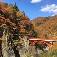 長野移住＆観光バスドライバー体験ツアー