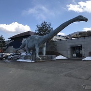 近くには信州新町化石博物館もある。
