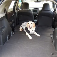 【青山尚暉のわんダフルカーライフ】災害時、車内空間は愛犬同伴避難の強い味方になる！