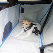 夏の愛犬同伴ドライブ、注意点＆必須アイテム