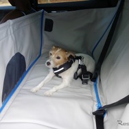 ボルボの愛犬用ドッグベッド ハーフサイズ