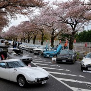 桜吹雪と名車の饗宴…オールドカーミーティングin清久さくらまつり