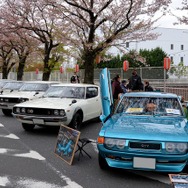 桜吹雪と名車の饗宴…オールドカーミーティングin清久さくらまつり