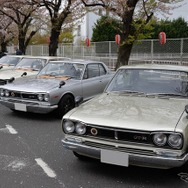 桜吹雪と名車の饗宴…オールドカーミーティングin清久さくらまつり