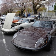 桜吹雪と名車の饗宴…オールドカーミーティングin清久さくらまつり