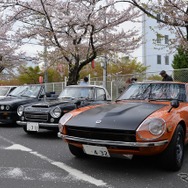 桜吹雪と名車の饗宴…オールドカーミーティングin清久さくらまつり