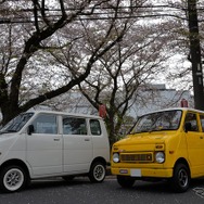 桜吹雪と名車の饗宴…オールドカーミーティングin清久さくらまつり