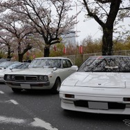 桜吹雪と名車の饗宴…オールドカーミーティングin清久さくらまつり