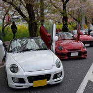 桜吹雪と名車の饗宴…オールドカーミーティングin清久さくらまつり