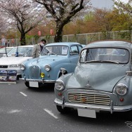 桜吹雪と名車の饗宴…オールドカーミーティングin清久さくらまつり