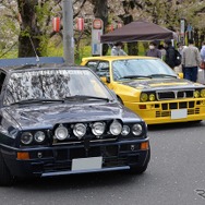 桜吹雪と名車の饗宴…オールドカーミーティングin清久さくらまつり