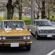 桜吹雪と名車の饗宴…オールドカーミーティングin清久さくらまつり