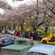 桜吹雪と名車の饗宴…オールドカーミーティングin清久さくらまつり